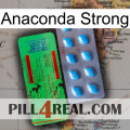 Anaconda Strong new03